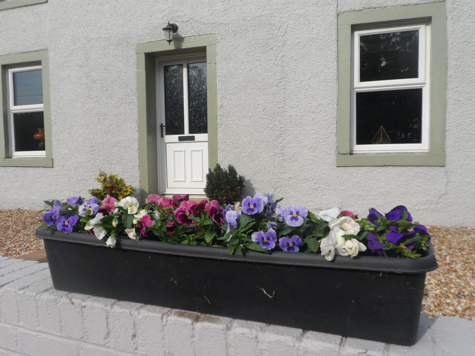 Midtown Farm Bed & Breakfast Easton  Luaran gambar
